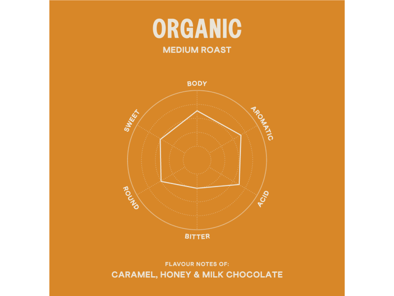 Piazza D'Oro Organic Flavour Notes