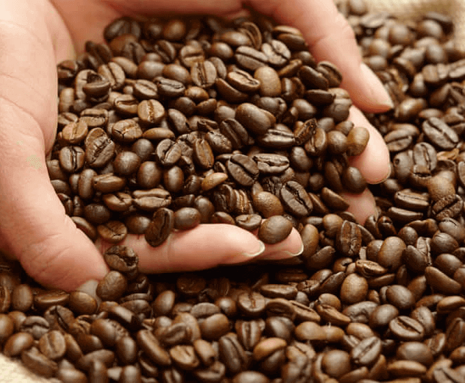 AU-two-halves-arabica-robusta