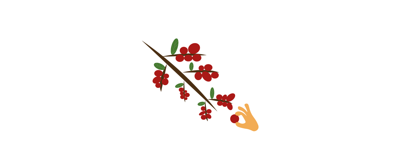 AU Harvesting